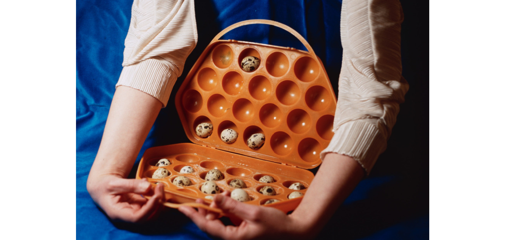 A photograph displaying an open orange egg bag with quails eggs inside which is being cradled by a pair of arms which descend from above.