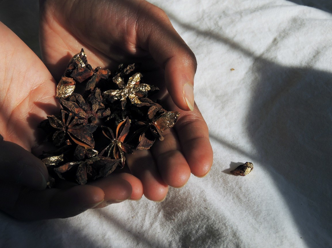 Gold-leaf star anise held in palms of hands.