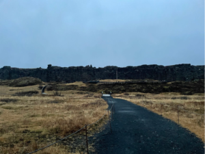 a road through a landscape