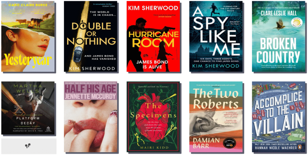 Screenshot showing book covers from Libby.