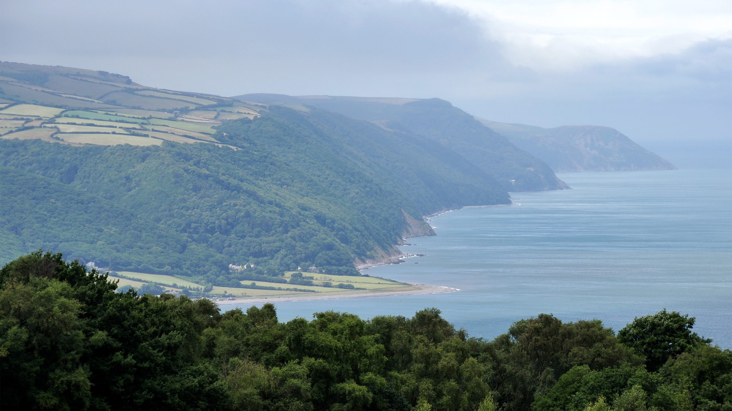 The Exmoor coastline in Devon, with woods covering most of the visible cliffs.