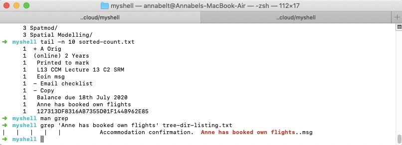 Screenshot showing the same text string, 'Anne has booked own flights' appearing as a filename in both the file count and the tree directory listing, where it appears to be a text message with '.msg' at the end.