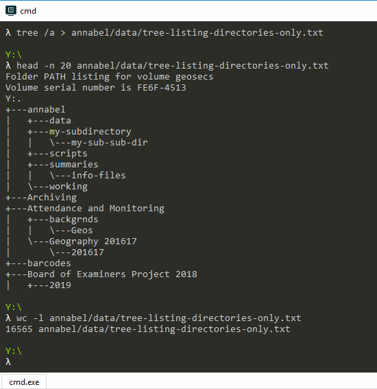Screenshot showing the tree listing command and the first 20 lines of the output text file