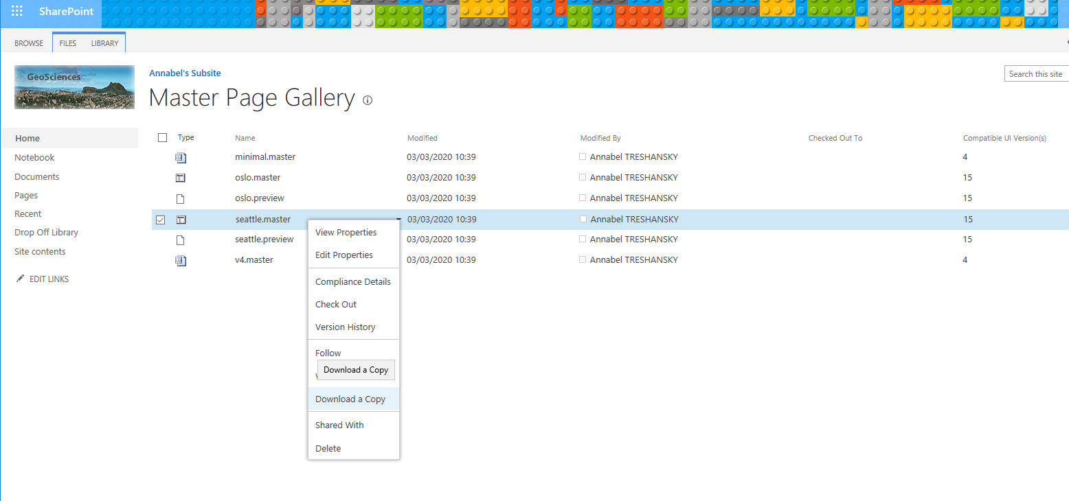 Screenshot: SharePoint Master Page Gallery