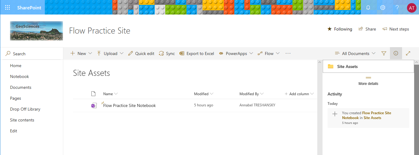 Screenshot: SharePoint Site Assets Library automatically included a OneNote notebook