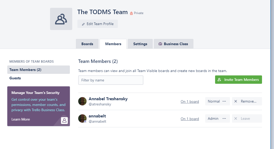 Screenshot: the Team page in Trello