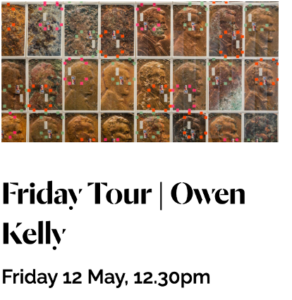 A website advert of a Friday tour by Owen Kelly, held on Friday 12 May, 12.30 pm. The advert features an artwork illustration: Moyra Davey, 'Copperheads No. 401-407, Janis J. Portikus,' 1990-2017.