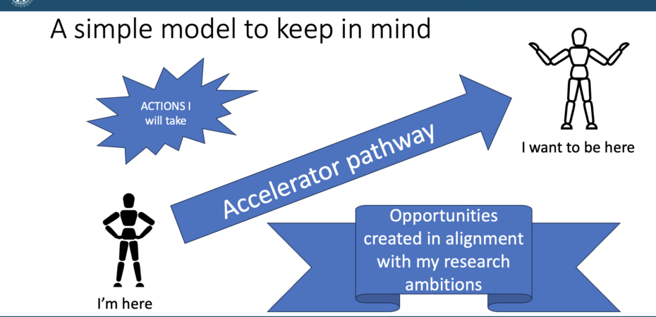 Career pathway model