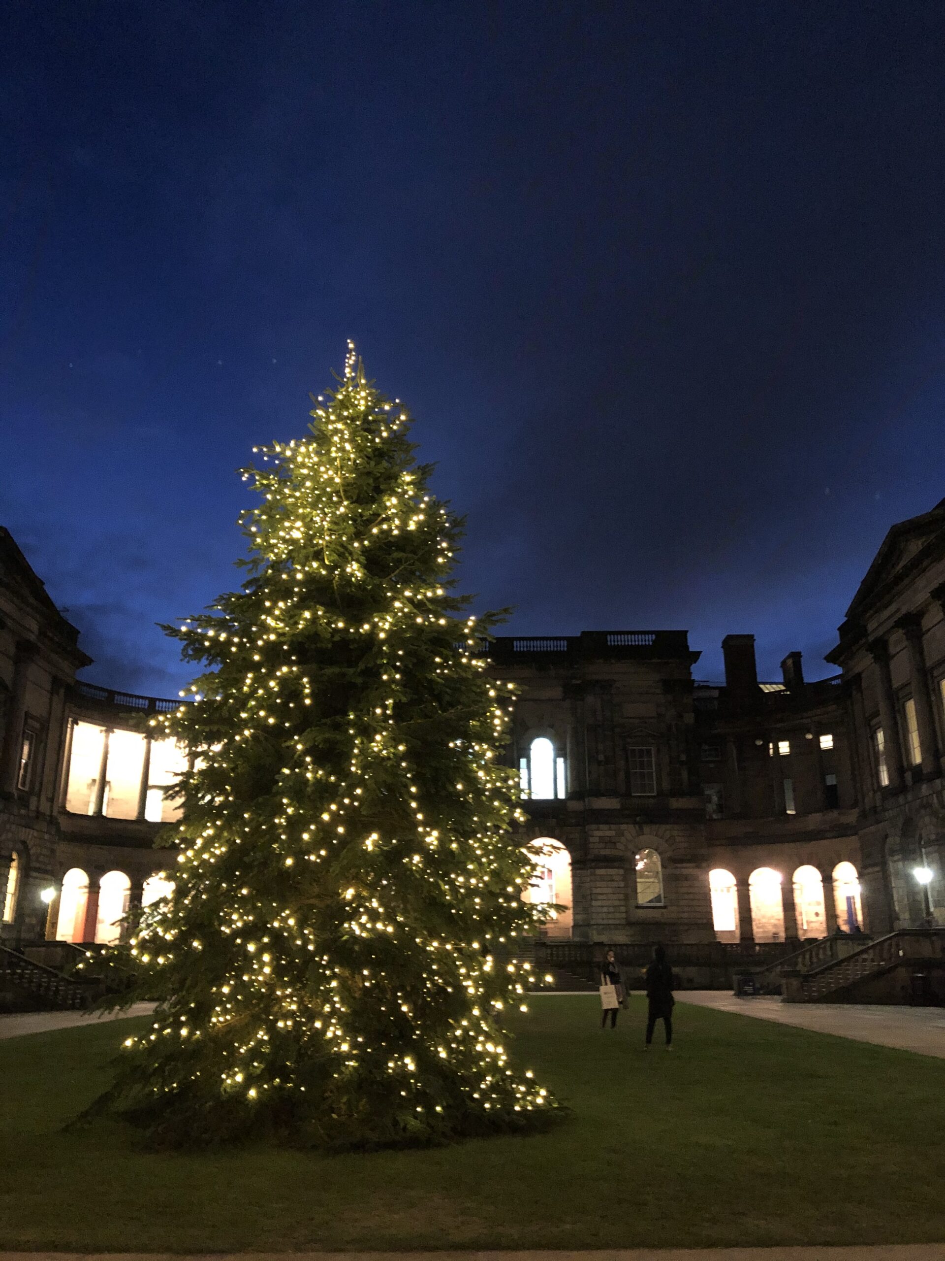 The Christmas tree in Old College Quad