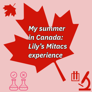 My summer in Canada: Lily's Mitacs experience. Image features maple leaves.