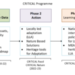 diagram showing different project phases