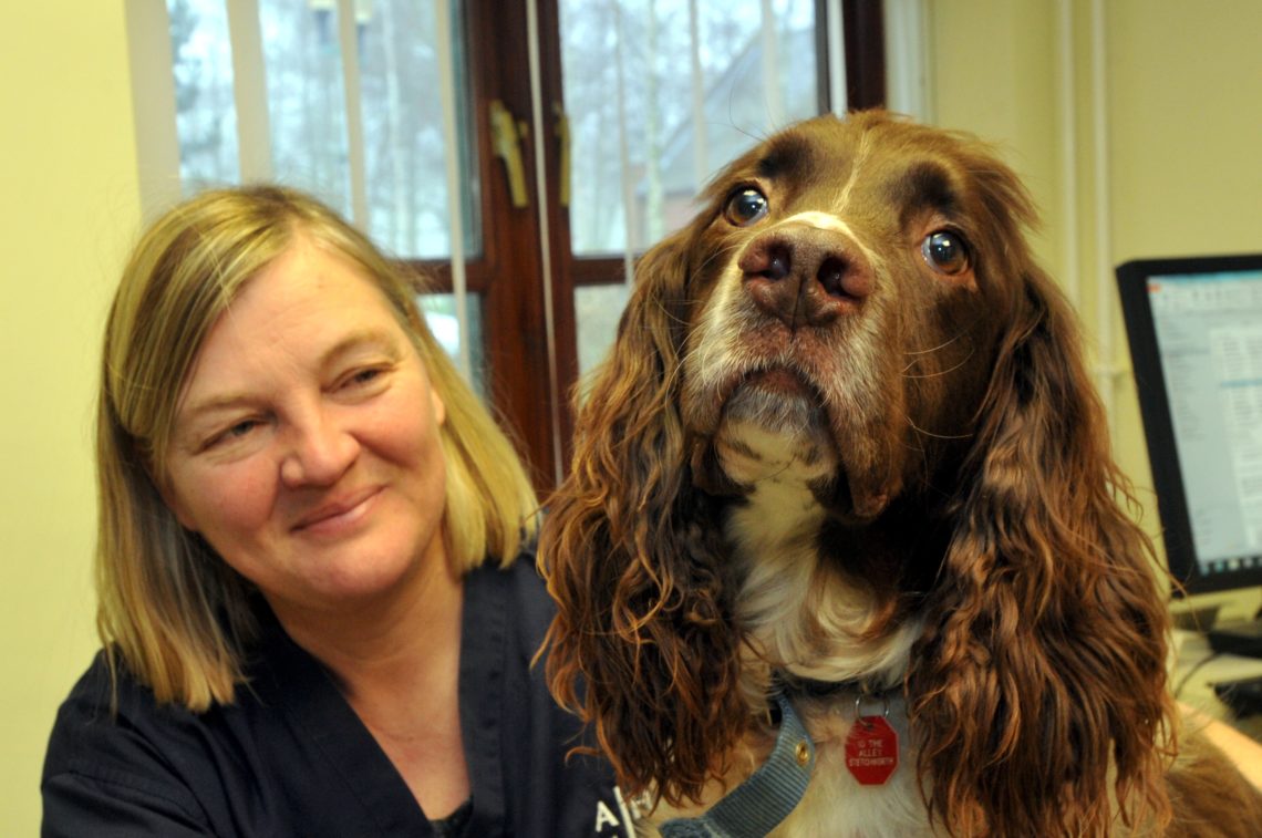 Experiences from past animal outbreaks help University of Edinburgh ...