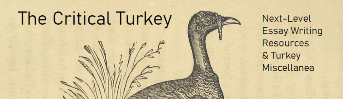 The Critical Turkey