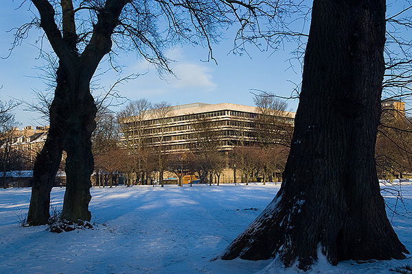 Snow at Edinburgh University Library, January 2010.