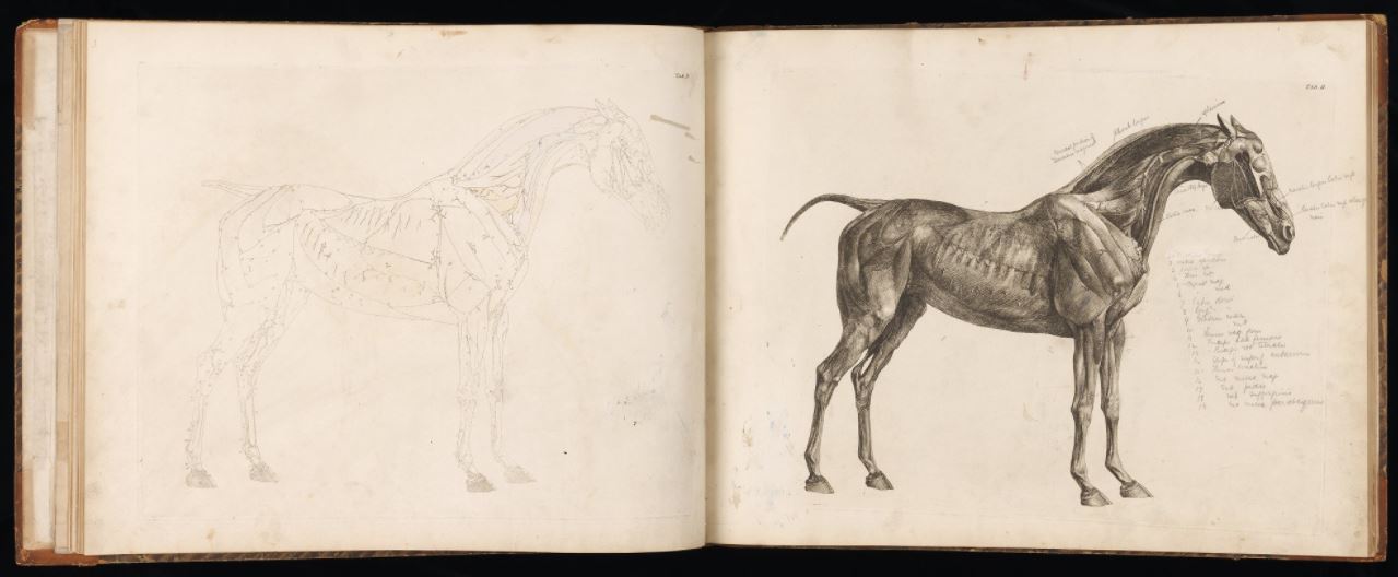 Tab. II (after p.10). 