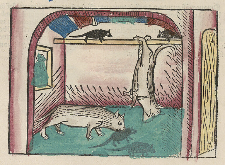 Incunabula: Fables, foliage and a female Pope – Cultural Heritage ...