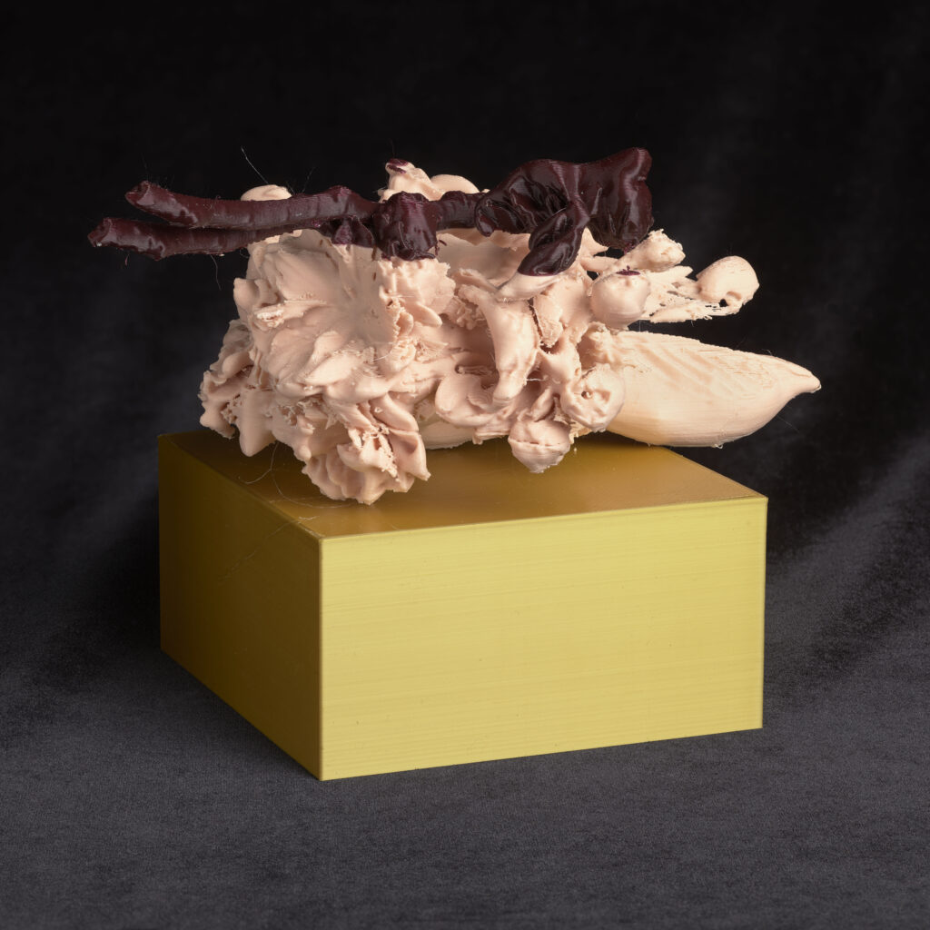 Image of an abstract pale and dark pink 3D printed flower resting on a yellow-ish gold cuboid plinth. The background is a dark black velvet.