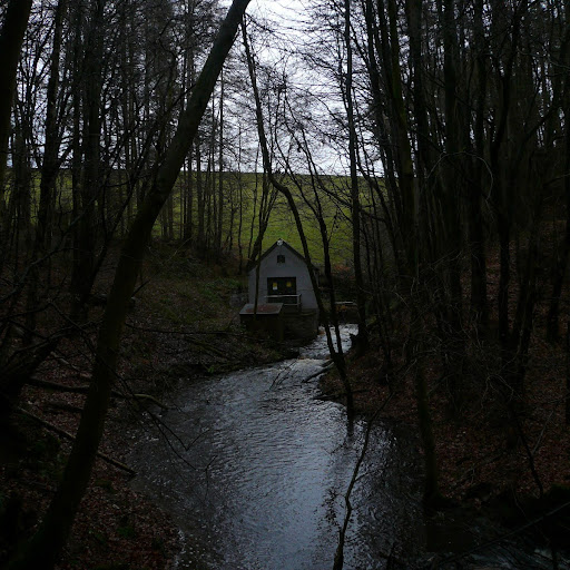 An image of a small shed by the side of a river. On either side of the river there are thickly bunched trees.
