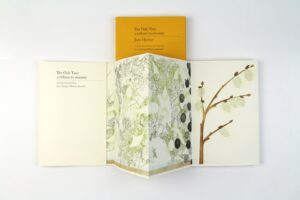 An illustrated concertina book with three pages open 