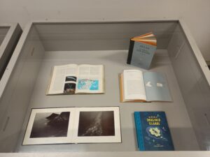 A display of books in a case