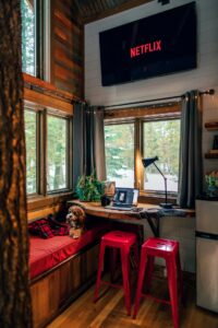 Dog in a room with makeshift desk