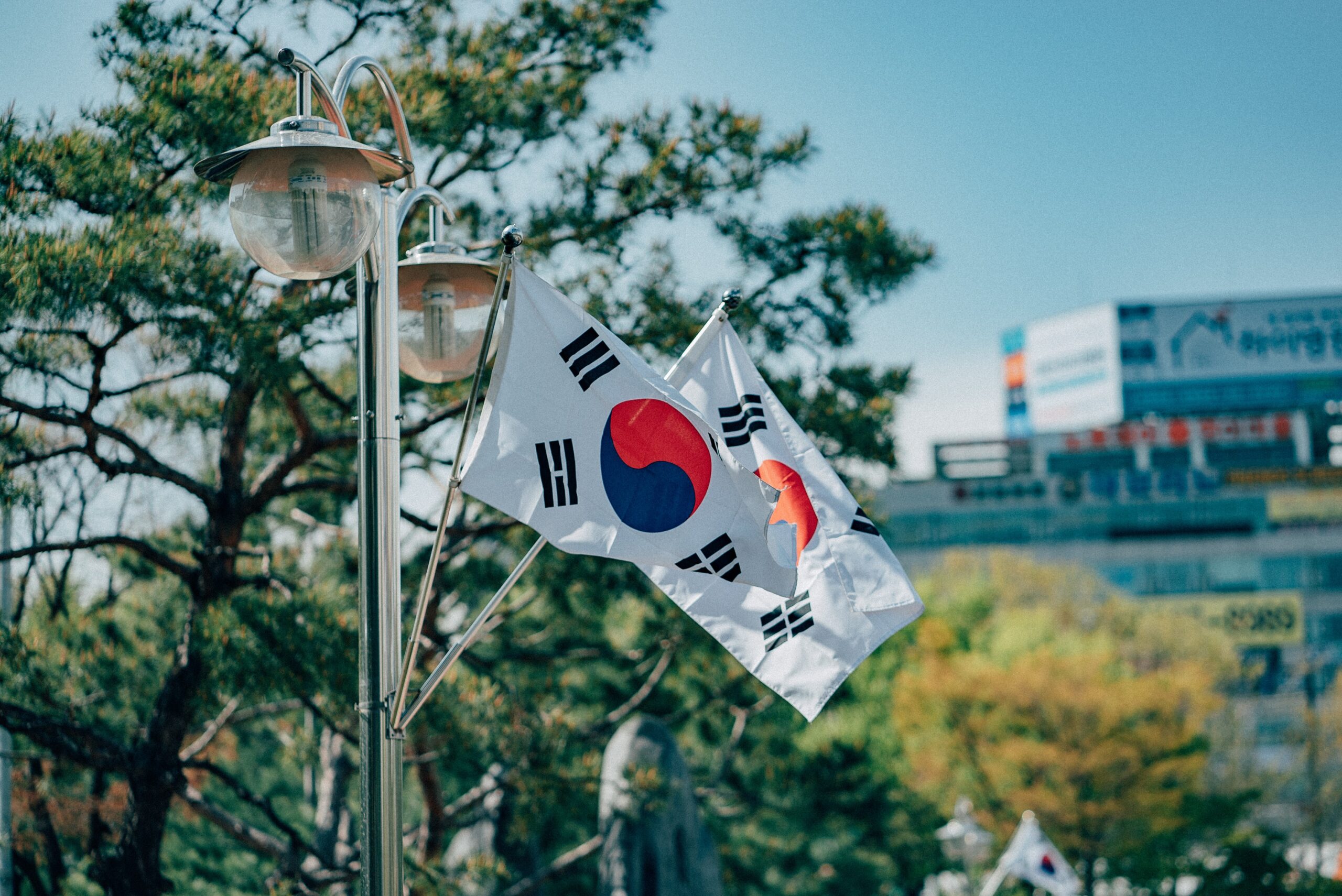 A colour photograph of two South Korean flags on a lamp post in front of trees, buildings and a blue sky.