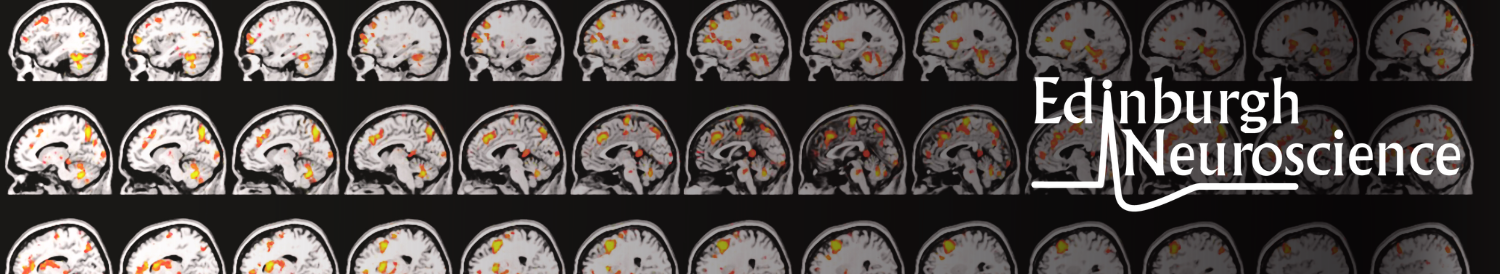 MRI scan and logo