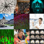 EdNeuro collage of scientific images and researchers