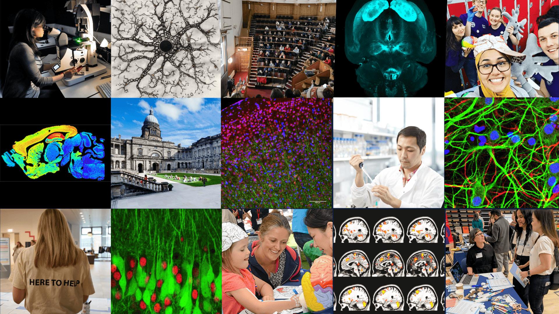 EdNeuro collage of scientific images and researchers
