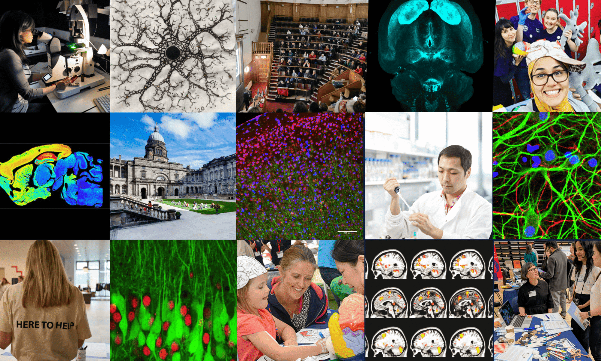 EdNeuro collage of scientific images and researchers