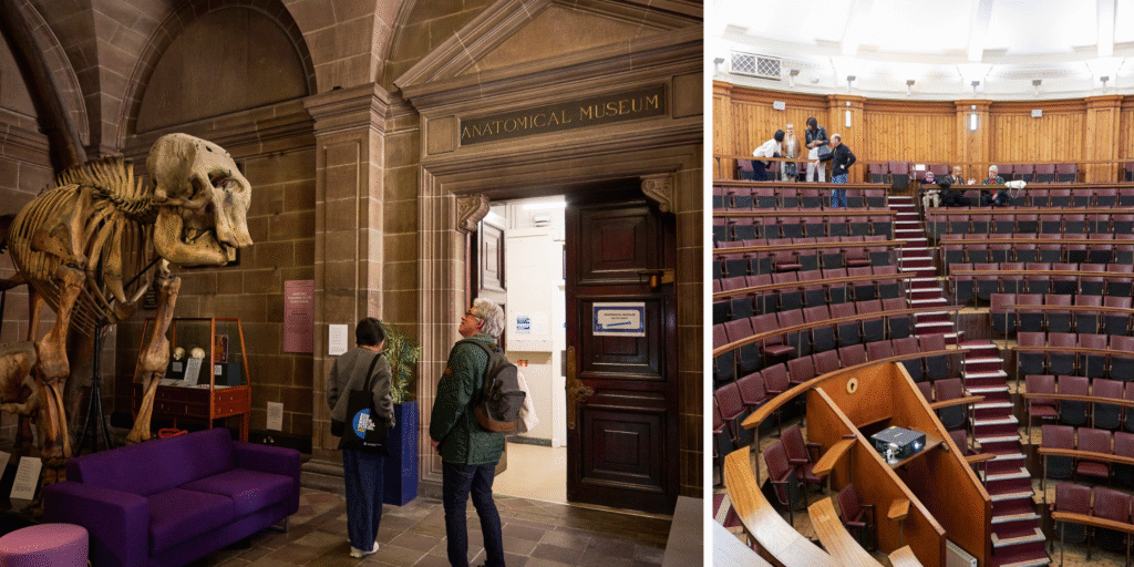 Two graduates looking at one of the elephant skeletons at the entrance to the Anatomical Museum