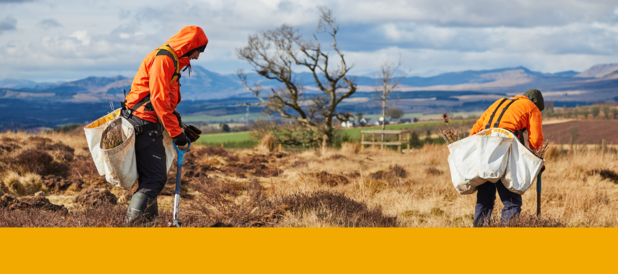 Tree planters working at Drumbrae. (Credit: University of Edinburgh)