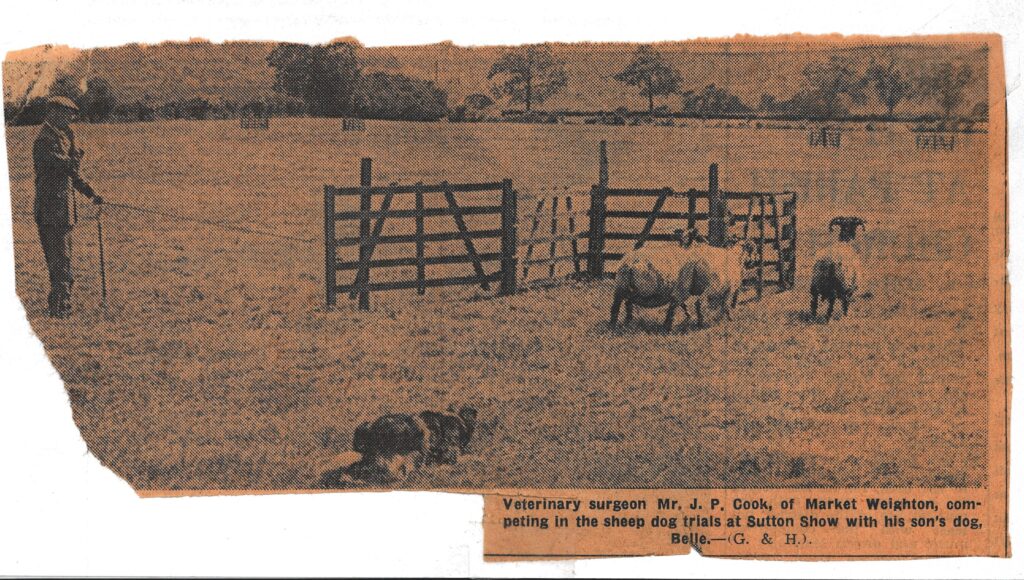 Cook family news clipping