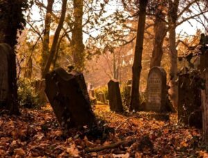 graves and fallen leaves, orange light