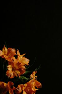decorative image, with black background and orange flowers in the bottom left hand corner