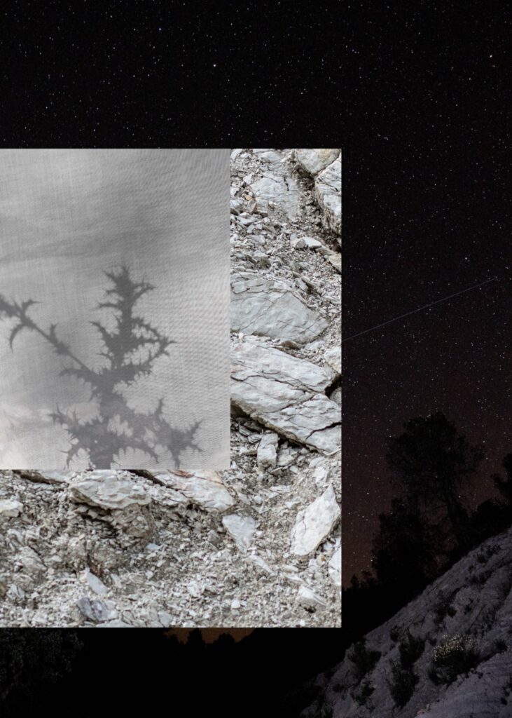 EEHN PhD Lab Presents: Ephemeral stream. Space perceived as a body