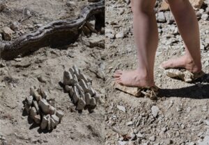 EEHN PhD Lab Presents: Ephemeral stream. Space perceived as a body