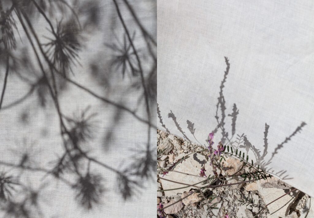 EEHN PhD Lab Presents: Ephemeral stream. Space perceived as a body