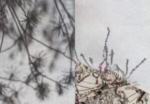 EEHN PhD Lab Presents: Ephemeral stream. Space perceived as a body