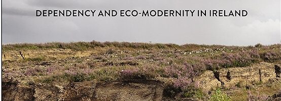 Book Launch: Patrick Bresnihan, From the Bog to the Cloud, 17 February