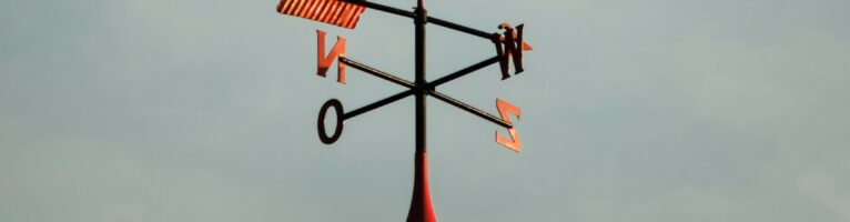 EEHN PhD Lab Event: Navigating the Public Environmental Humanities – 14th May 2026