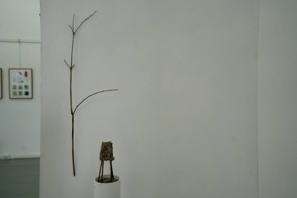 On Falling Tide Exhibition
