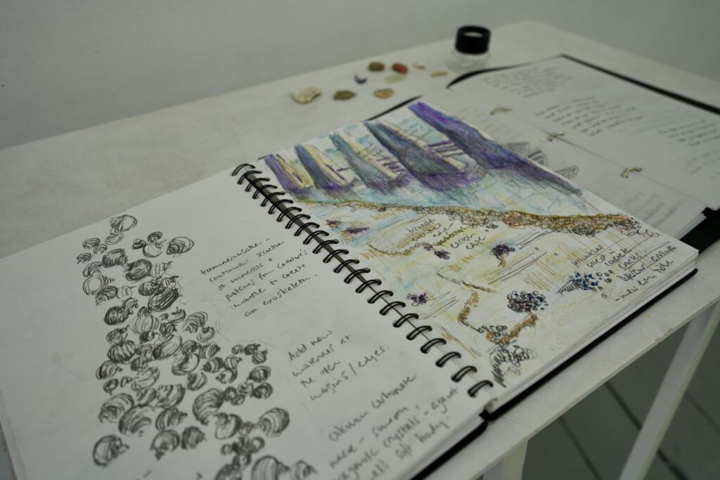 On Falling Tide Exhibition