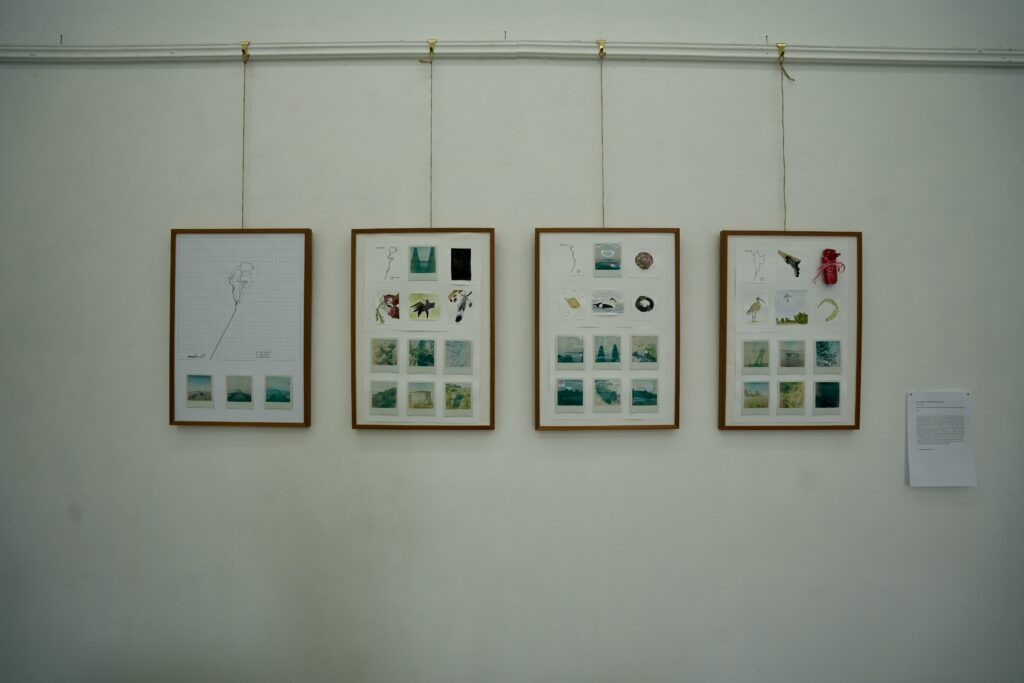 On Falling Tide Exhibition