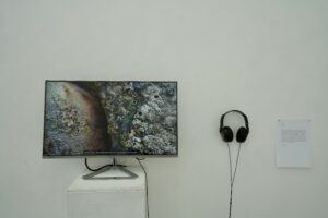 On Falling Tide Exhibition