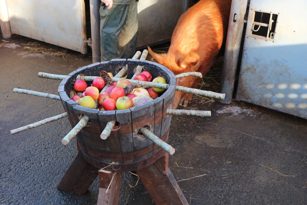 two-kerplunks-and-several-fly-pigs-equity-for-pigs