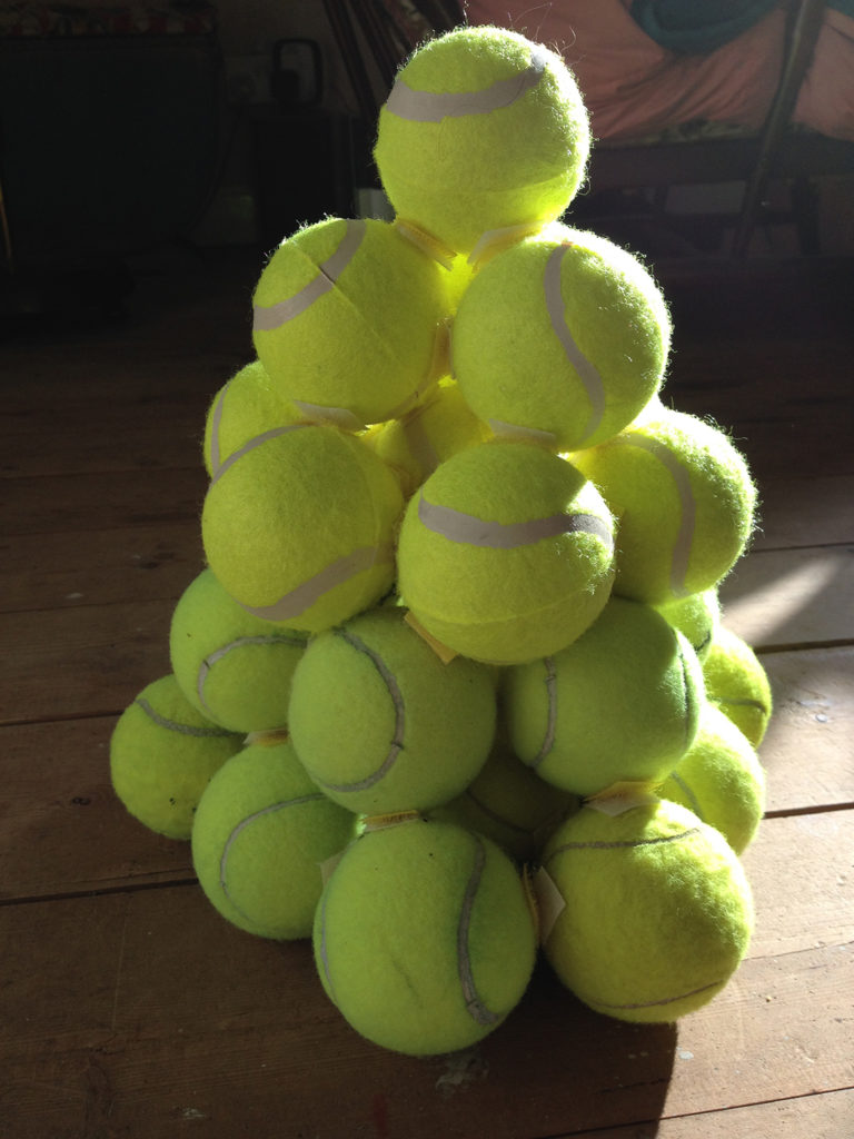 A More Than Human Equity for Pigs