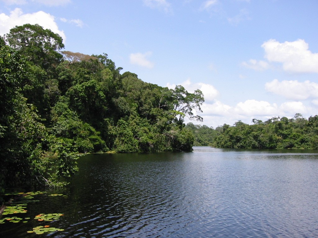 Understanding the Amazon rainforest through a UKBrazil science