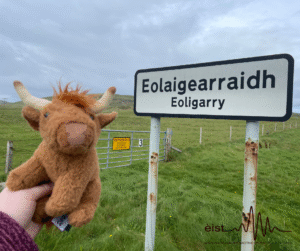 Image Description: A plush Highland cow is being held up in front of a countryside scene with green grassy fields and a cloudy sky. In the background, there is a white and black road sign that says ‘Eolaigearraidh’ with ‘Eoligarry’ written underneath, indicating the place name in Gaelic and its English equivalent. There is also a yellow sign on a metal gate further back, and a real Highland cow with horns can be seen standing in the grass behind the sign, blending in with the environment.