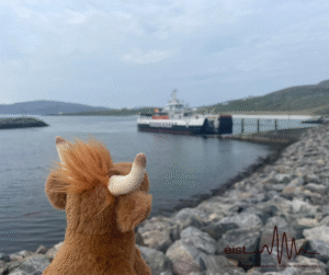 Image Description: A plush toy with brown fur and white horns, resembling a Highland Cow, is positioned on a rocky shoreline in the foreground. The toy is facing away from the camera, looking out towards a large body of water where a Calmac ferry is visible in the distance. There are hills in the background across the water. Although it is not stated in the photograph, the picture is of the ferry port on Eriskay.